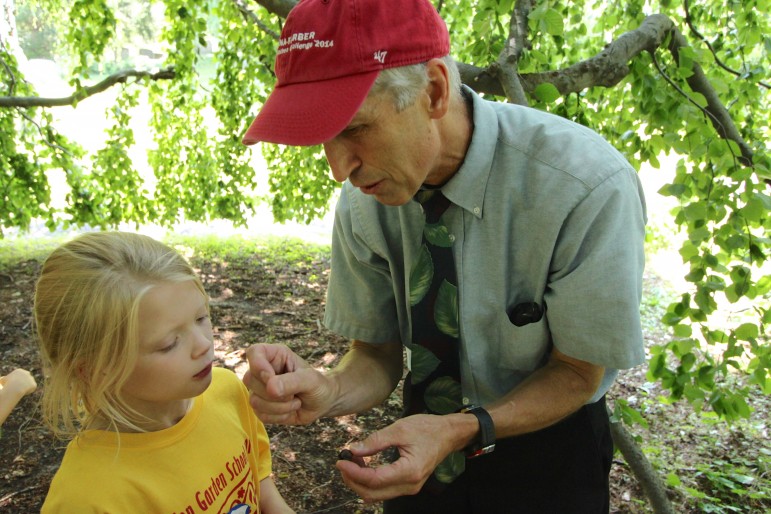 Dave Barnett, president of Mount Auburn Cemetery, shows a camper a beech nut from the weeping beech.