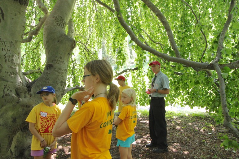 Mount Auburn Cemetery President Dave Barnett, right, brought the entire group of campers inside a weeping beech tree.