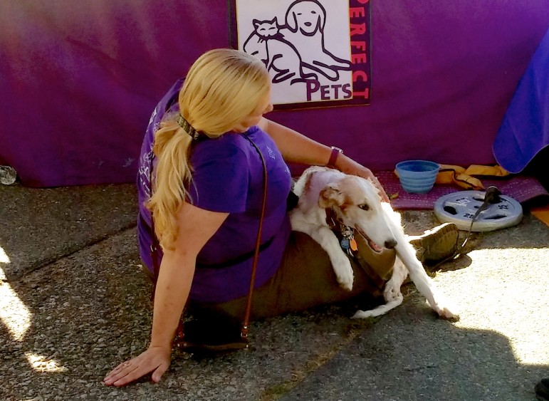 A woman and her dog beat the heat under a tent at the 15th annual Faire on the Square.