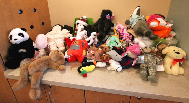 These stuffed animals will make some children in Watertown happy this Holiday season, thanks to the Whooley Foundation.