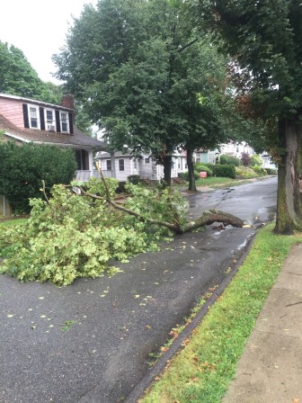 A tree limb fell in the street on Highland Avenue and Stuart Street. 