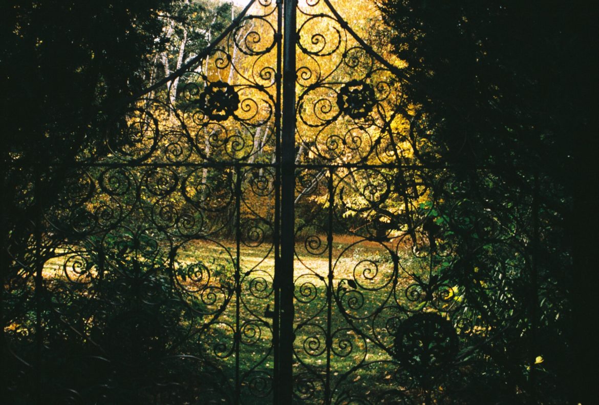 "Garden gates" by Watertown's Catherine Holt got honorable mention in the Watertown Savings Bank High School Photo Contest.