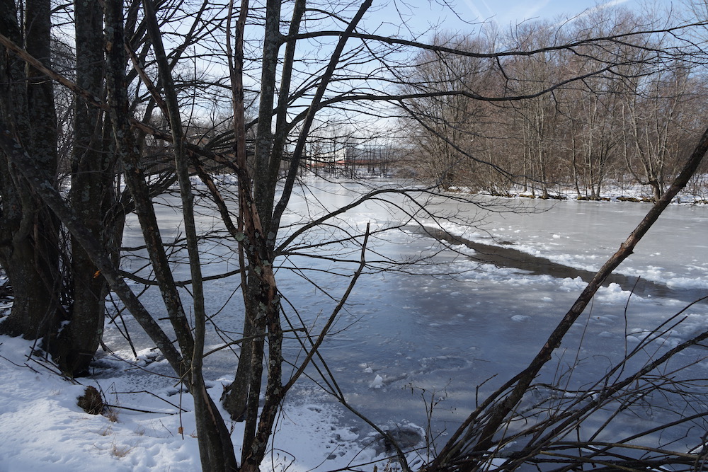 Watertown’s Hidden Wetlands Could be Possible Community Preservation ...