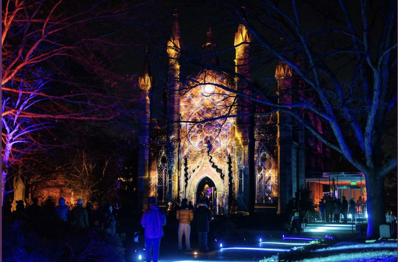 Solstice Winter Light Show Returns to Mount Auburn Cemetery Watertown